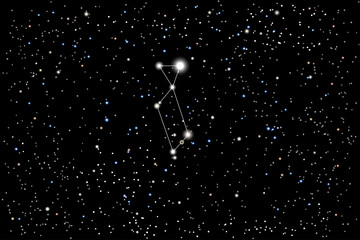 Vector illustration of the constellation Lyra (Lyre) on a starry black sky background. The astronomical cluster of stars in the constellation in the northern celestial hemisphere.  © dore art