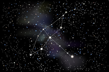 Obraz na płótnie Canvas Vector illustration of the constellation Cygnus (Swan) on a starry black sky background. The astronomical cluster of stars in the constellation in the northern celestial hemisphere and the milky way