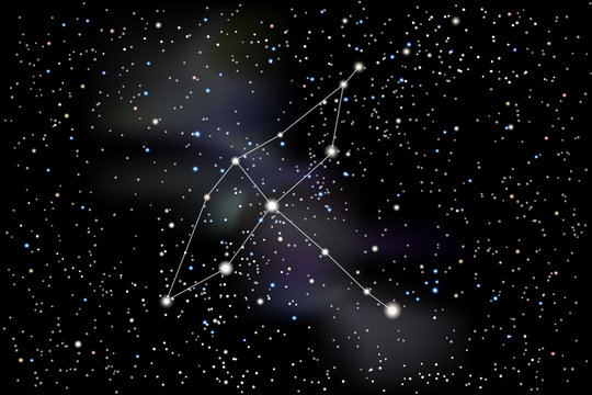 Vector illustration of the constellation Cygnus (Swan) on a starry black sky background. The astronomical cluster of stars in the constellation in the northern celestial hemisphere and the milky way