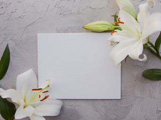 Stylish minimalist design with white lilies on a gray background texture of cement.
