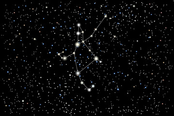 Vector illustration of the constellation Perseus on a starry black sky background. The astronomical cluster of stars in the constellation in the northern celestial hemisphere.  © dore art