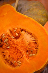  ripe orange half pumpkin as background