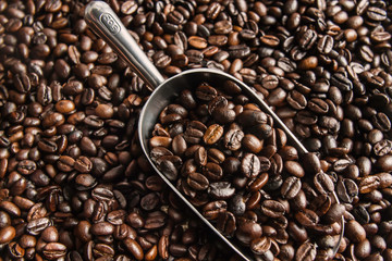 café en grano con paleta plateada