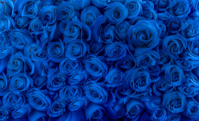 rosas y botones de color azul 