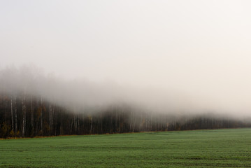 Obraz na płótnie Canvas Deep fog above field in countryside, near forest. Foggy morning. Fall season.