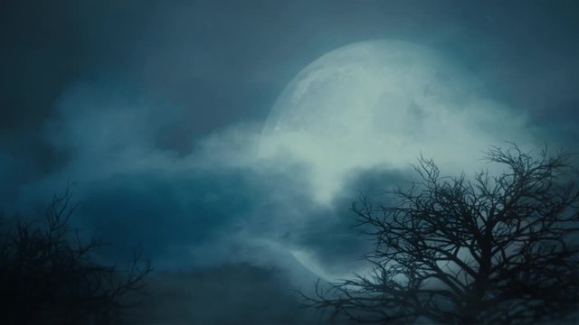 Silhouette of a tree with full moon at midnight.