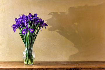 Irises and Shadow