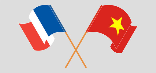 Crossed and waving flags of Vietnam and France