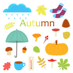 set of cartoon autumn objects