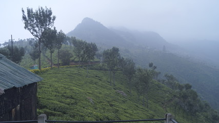 landscape in the mountains