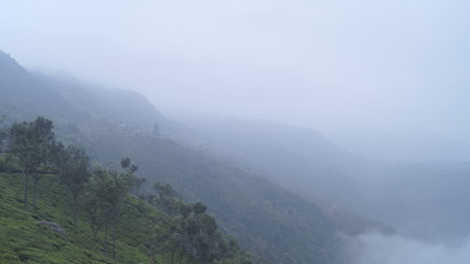 fog in the mountains