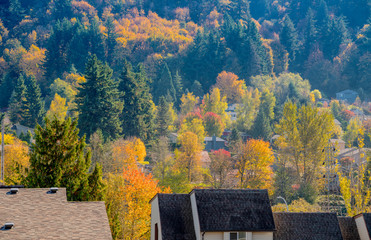 Autumn colors in a neighborhood Oregon.