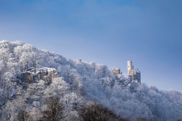 Fototapeta na wymiar Winter - Schloss Lichtenstein