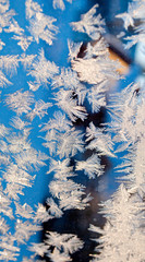 art by frost, Christmas window