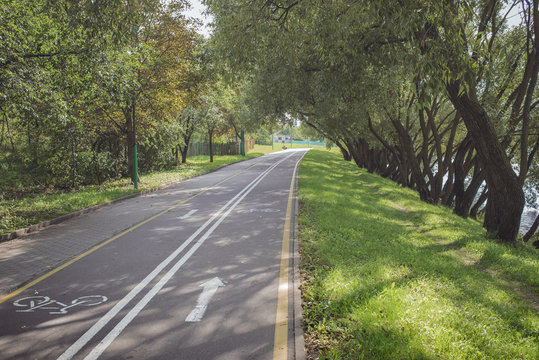 Bike path in the park with green grass and beautiful alea trees. Beautiful summer landscape.