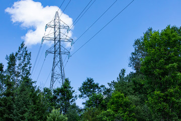 A low angle view of a steel lattice transmission tower located in the forest. Tall structure used to support overhead electric cables supplying citizens.