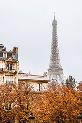 Fototapeta na wymiar autumn view of Paris - yellow leaves against the eiffel tower
