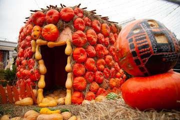 pumpkins in honor of the celebration of autumn and Halloween. festival of vegetables. creative...