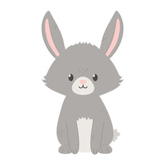 Obraz premium gray bunny sitting on white background