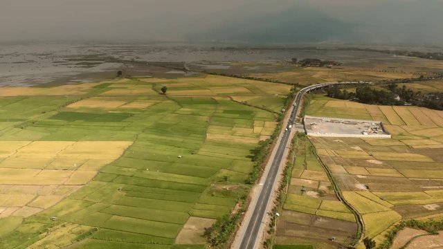 Aerial footage bird view of green rice farm field crossed by highway road in Central Java, Indonesia