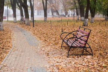 An old shabby bench among the fallen leaves by the path on a fog