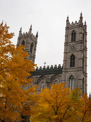 Fototapeta na wymiar Cathedral in Montreal in fall