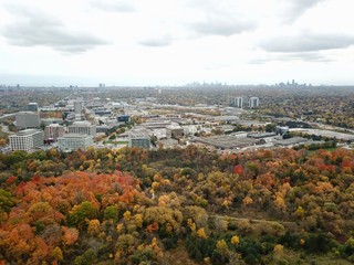 busy Highway in Autumn
