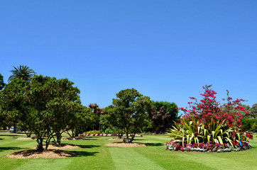 Aview of Centennial Park in Sydney, NSW.