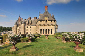 Fototapeta na wymiar View of the castle garden and town Langeais. Loire Valley France.