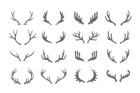 Antler big set of vector icons . Hand drawn silhouettes of hunting trophies illustration .