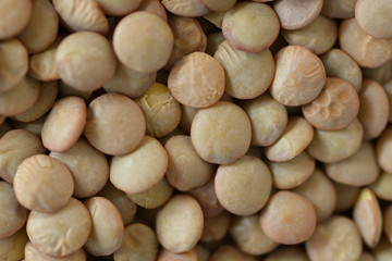 Lens culinaris or lentils pardinas