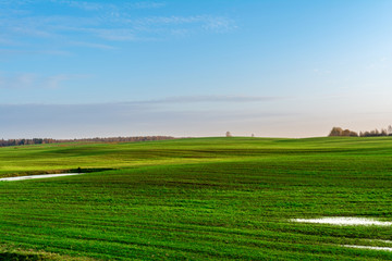 Green field and blue sky with white cloud, nature landscape background