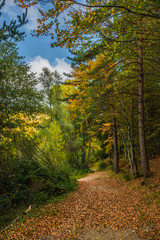 Obraz premium Lac d'Issarles, couleurs d'automne