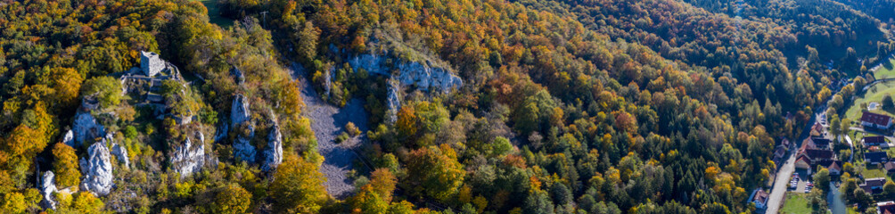 Fototapeta na wymiar Herbstwald - Panorama