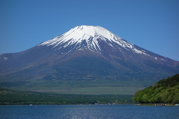 Blick auf den Mount Fuji Fujisan vom Yamanaka Lake , Japan