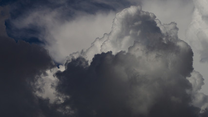 Zoom sur un cumulus bourgeonnant