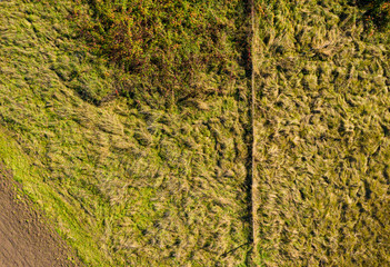 aero grass field
