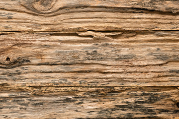 Texture of old wood background,suitable for all types of designs