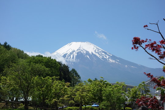 Blick auf den Mount Fuji Fujisan vom Yamanaka Lake , Japan