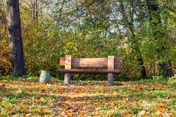 bench in the park