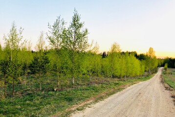 road in the countryside