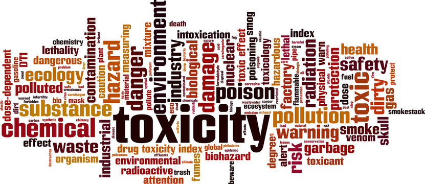 Toxicity Word Cloud
