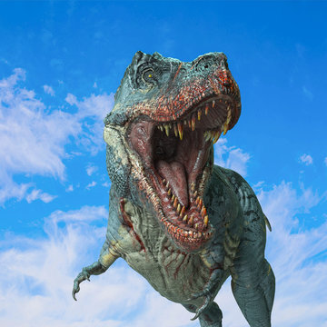 tyrannosaurus rex on blue sky