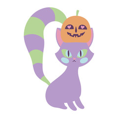 happy halloween celebration cat with pumpkin in head decoration