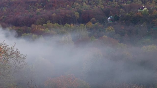 Smoke over the wood. Time lapse.