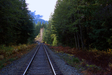 Shadows around a railroad track running thru fall colors and a Canadian forest