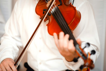 Violin playing viola musician playing . Man violinist classical musical instrument  fiddle .