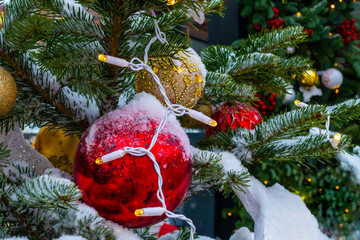 Christmas decorations. A real fir tree covered with snow. Christmas toys balls of red and gold color and a shining garland hang on a branch. Close-up. Macro. Xmas