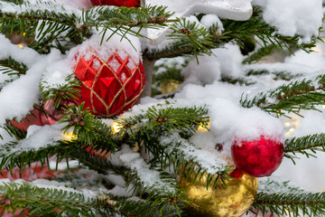 Christmas decorations. A real fir tree covered with snow. Christmas toys balls of red and gold color and a shining garland hang on a branch. Close-up. Macro. Xmas