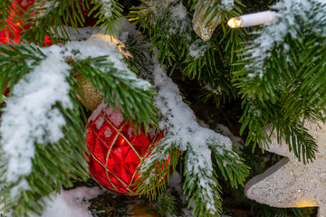 Fototapeta na wymiar Christmas decorations. A real fir tree covered with snow. Christmas toys balls of red and gold color and a shining garland hang on a branch. Close-up. Xmas